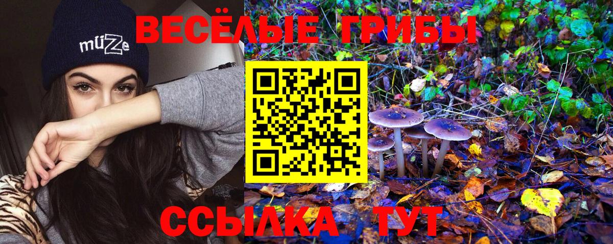 Кимры  Галлюциногенные грибы Cubensis  Вход с VPN  Галлюциногенные грибы Cubensis 